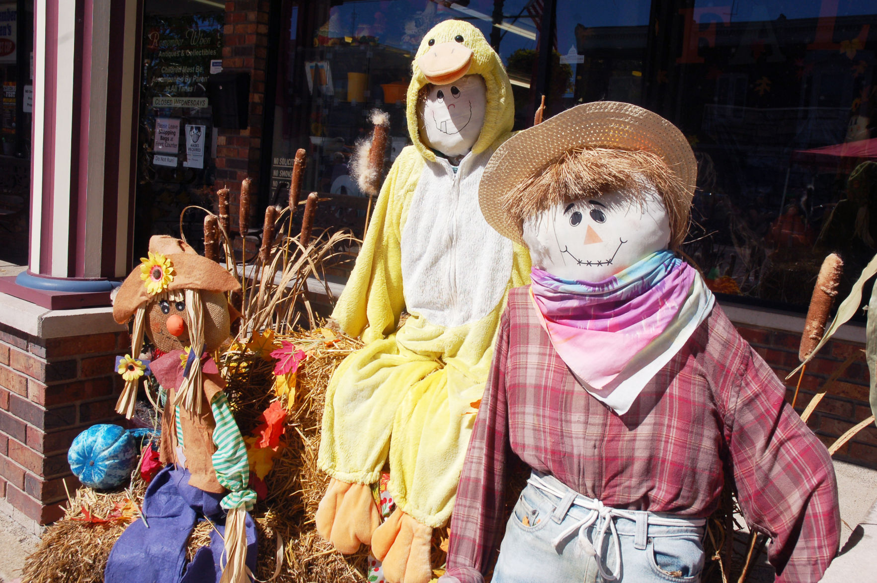 Delavan Scarecrow Festival 2020 - 10